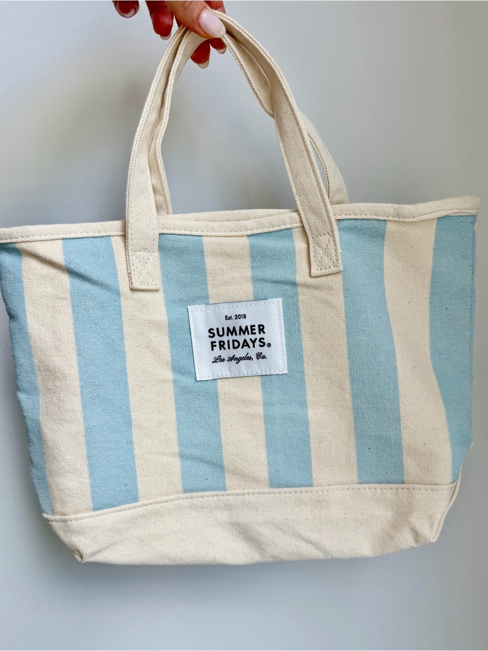 Special Edition: Summer Fridays Striped Canvas Tote- 12” Wide by 8.5” Tall